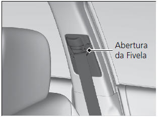 Limpeza dos Cintos de Segurança