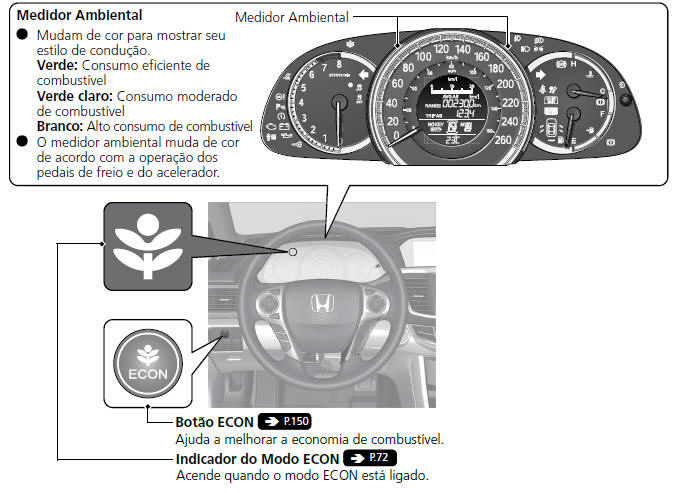 Sistema Eco Assist