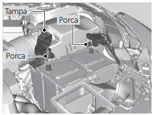 Substituição da Bateria