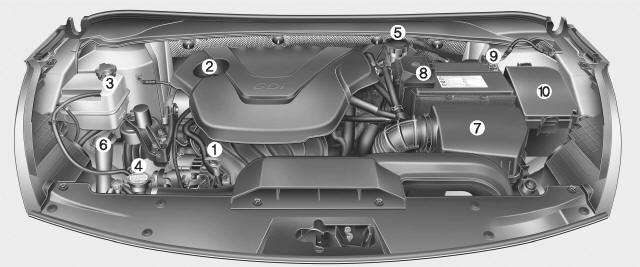 Gasolina (1,6L)