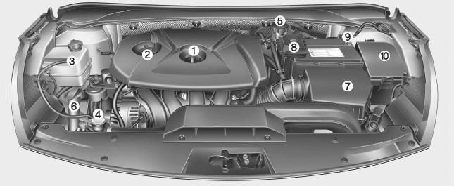 Gasolina (2,0L)