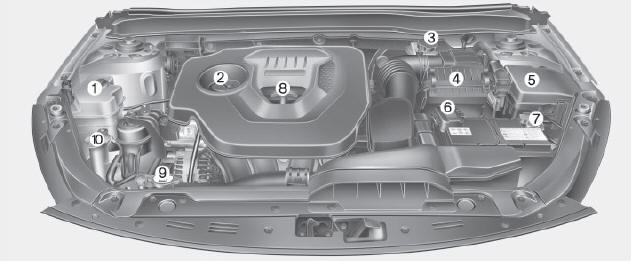 Motor a gasolina (Nu 2.0 L) - CVVL