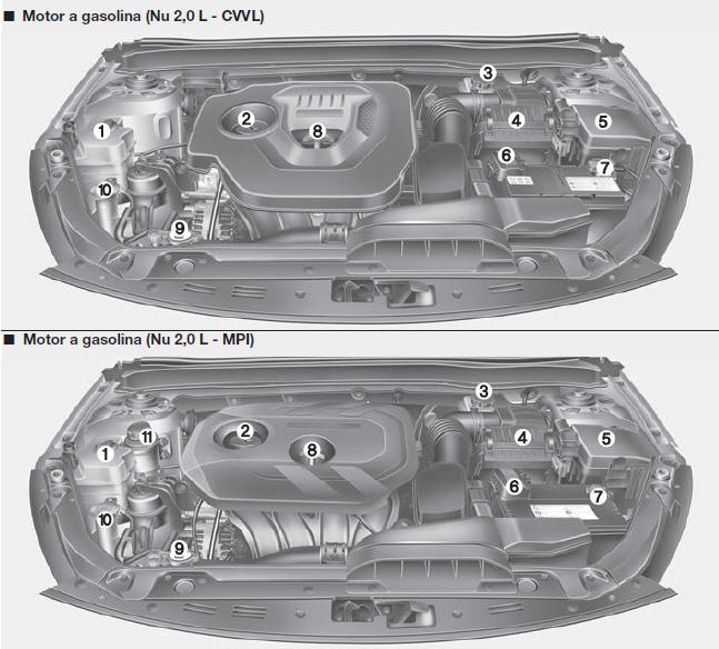 Compartimento do motor